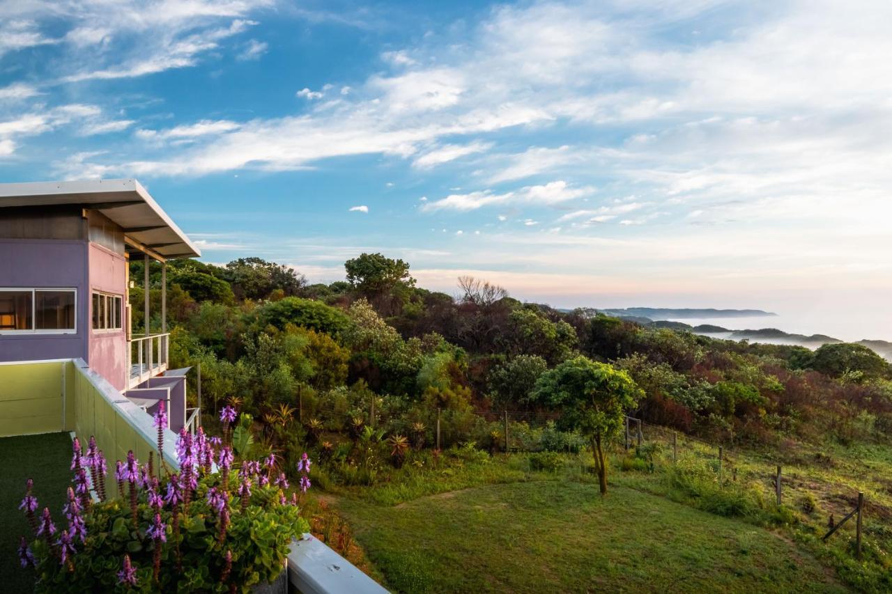Purple Haze Eco Lodge Чинца Екстериор снимка