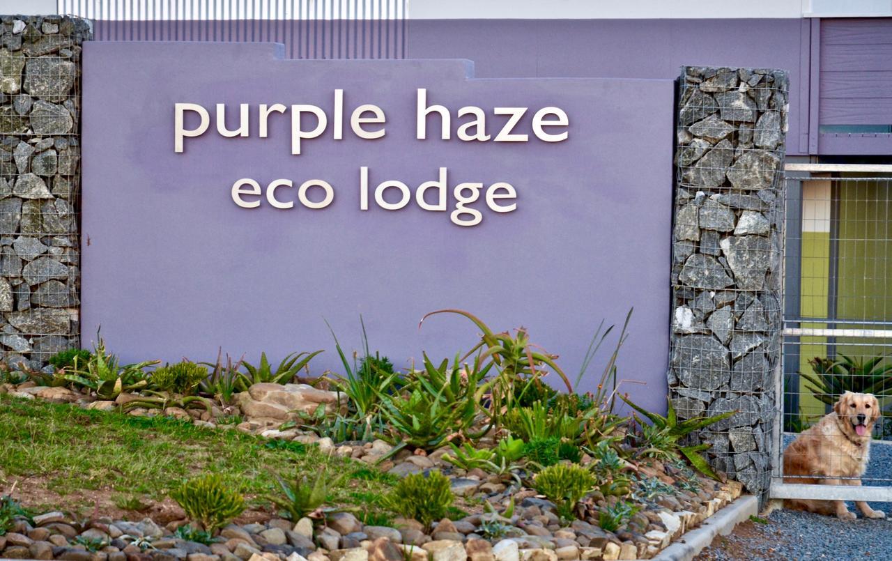 Purple Haze Eco Lodge Чинца Екстериор снимка
